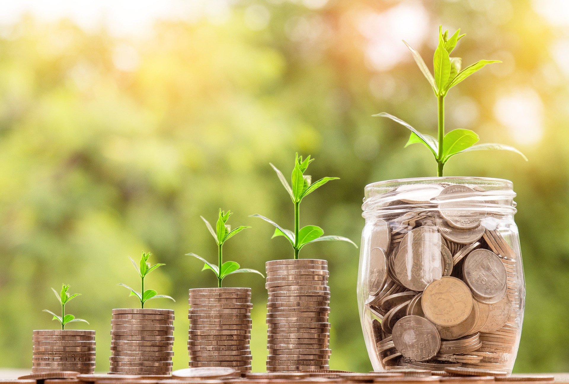Stacks of coins and a money jar filled with coins with plants growing on top.